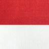 Red White Stripe Outdoor Umbrella Fabric R12